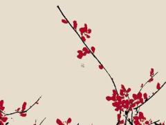 深宮曲軟弱皇嗣婚配攻略 深宮曲皇子軟弱性格怎么改