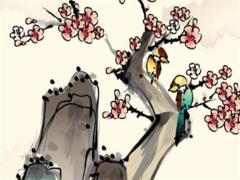 92年屬猴戴什么手串招財(cái),92年屬猴人佩戴什么財(cái)運(yùn)好