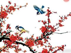 八字命理解析董明珠 董明珠八字是什么格局