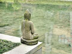 夢(mèng)見刷廁所