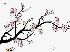 眼睛下方有條八字溝叫什么 眼睛下面一個八字痕跡