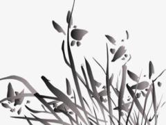 本命年戴黑曜石能帶來(lái)好處嗎,本命年戴黑曜石還是朱砂