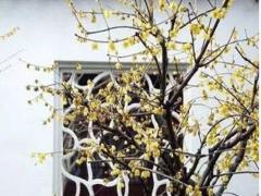 最準的生辰八字算命壽終 生辰八字算壽終免費