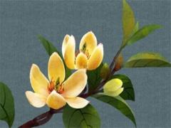 八字純陰的女人適合帶什么飾品 八字純陰女容易吸引人