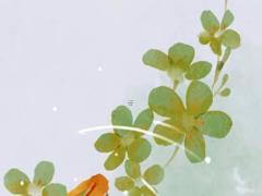 算命批八字墓字啥意思 八字中的墓是什么意思