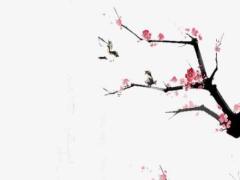 女人有八字紋怎么辦 女生八字紋是什么寓意