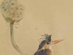 古人結(jié)婚為什么要合八字 古代結(jié)婚為什么這么早