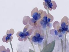 測算未來婚姻命運 預測未來婚姻