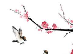 屬兔的本命年結(jié)婚哪個(gè)月合適呢女,屬兔本命年能結(jié)婚嗎,本命年結(jié)婚好嗎