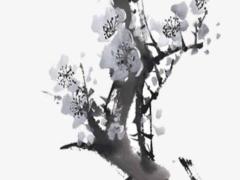 生男孩和生女孩各有什么癥狀 生男孩生女孩的區(qū)別有哪些
