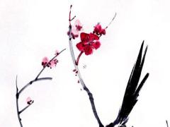 八字算事業(yè)財(cái)運(yùn)如何 八字算事業(yè)與財(cái)運(yùn)方位