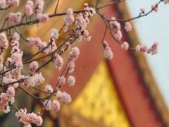 算命里多少貫錢的意思 幾貫等于一兩