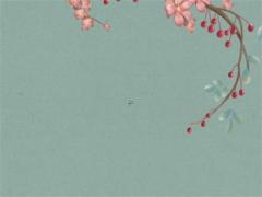 桃花在八字四柱的解釋 四柱中桃花