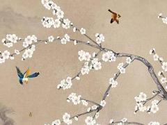 洪紹光教授那年逝世 洪紹乾簡(jiǎn)介