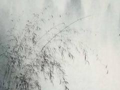白金和鉑金成分區(qū)別 白金與鉑金區(qū)別