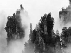 一對一占卜事業(yè)有用嗎 關(guān)于網(wǎng)上在線一對一算命
