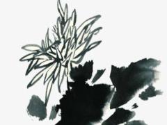 今年本命年的人能創(chuàng)業(yè)做生意嗎,今年本命年的人能創(chuàng)業(yè)做生意嗎