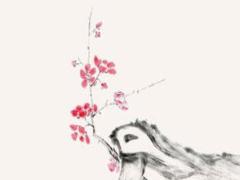 周易象數(shù)理占是什么意思 周易基礎(chǔ)知識(shí)理象數(shù)