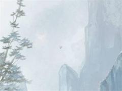 屬兔的人能養貓嗎？,屬兔的人可以養貓嗎