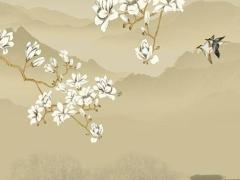 獅子座未來兩年運勢,獅子座未來十年運勢2019-2029