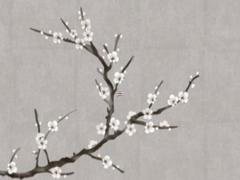 2025年5月哪天好結婚 吉利日查詢適合女方的選擇