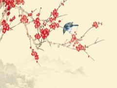八字積陰德是什么意思 積陰德的人有什么福報