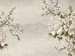 喜水木去哪個方向發展,喜水木去哪個城市