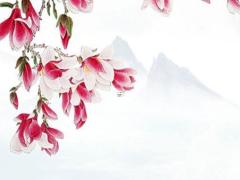 八字單單十居后什么意思 八字單單十居后陽光探碼