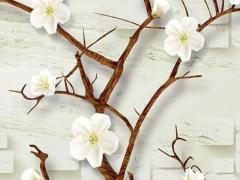 八字命理分折實例 八字命理講解