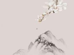 八字和命格有什么區(qū)別 八字和命運(yùn)究竟啥關(guān)系