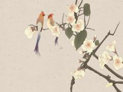 抽簽解簽觀音靈簽吉名屋 觀音靈簽算命
