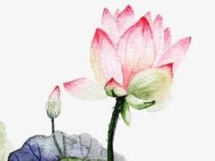 2025年5月結(jié)婚吉日查詢 哪日吉日