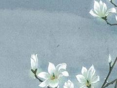 2025年農歷五月適宜的結婚日子查詢 哪天好合適