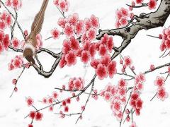 整整828天！杭州保姆縱 杭州保姆最新進展