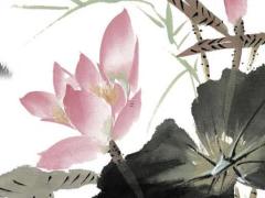 屬兔養(yǎng)狗可以轉(zhuǎn)運(yùn)嗎,屬兔的養(yǎng)狗財(cái)運(yùn)好不好