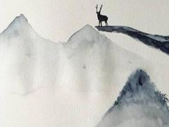 屬兔的女去五臺山的好處,屬兔的去五臺山哪座廟