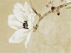 八字詞語中的名字 八字名詞術語