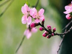 暗戀摩羯座男生怎么辦 摩羯暗戀的小動作