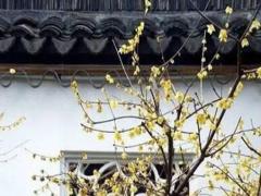 八字和五行如何對應 五行和生辰八字對應關系