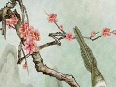 算命說眼睛毒是什么意思是什么 眼睛很毒的人可怕