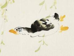 天涯論壇批八字怎么樣 娛樂八卦
