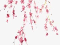 鄧倫八字正緣什么時候到 鄧倫八字姻緣