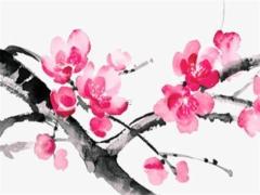 馬明年的運勢如何2024,生肖馬明年的運勢