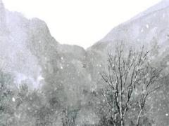 天秤座和雙魚(yú)座配嗎閨蜜 天秤座和雙魚(yú)座搭配嗎