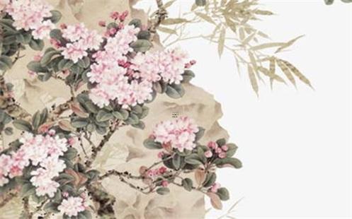 1974年虎今年運勢 74年的虎婚姻與命運
