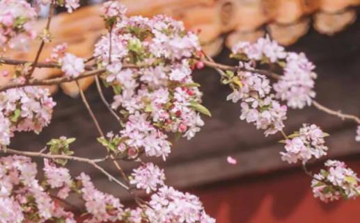2025年6月團(tuán)年飯吉日 2025年吃團(tuán)年飯吉日