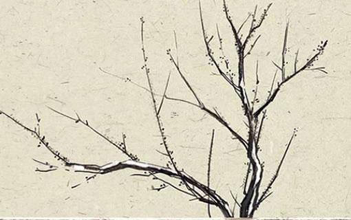 哪日適宜2025年滿(mǎn)月與生肖沖克分析