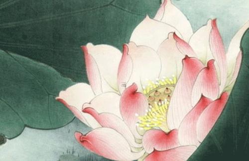 屬兔人本命年可以投資嗎,屬兔本命年不能結婚嗎