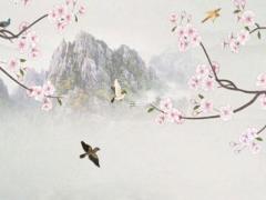 豬本命年是戴兔還是虎飾品,生肖豬本命年可以戴豬嗎