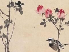 屬兔的本命年前一年運(yùn)勢,屬兔在本命年運(yùn)氣